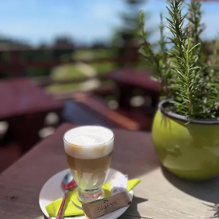 Pr' Florjan Pensionat Cerklje na Gorenjskem