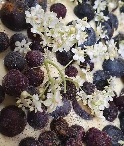 Πανσιόν Pr' Florjan Cerklje na Gorenjskem